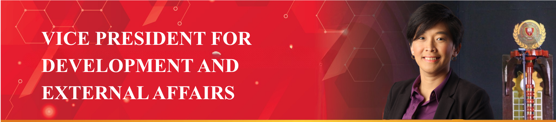 Office of the Vice President of Development and External Affairs Header